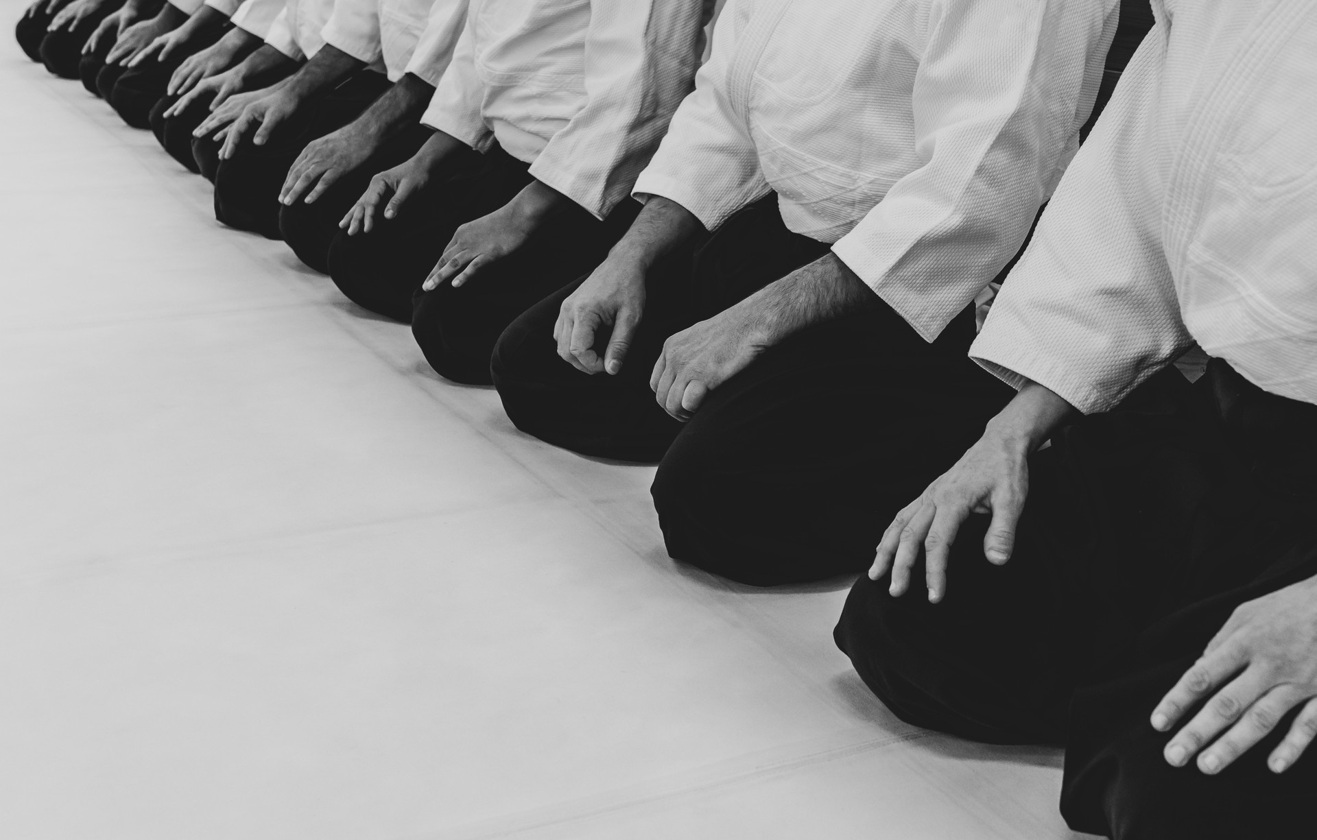 People practicing aikido in a dojo background.