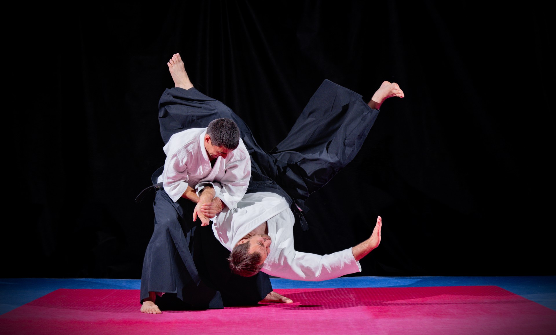 Two martial arts fighters